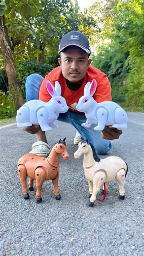 Duita Rc Horse and Remote Wla Rabbit 2 Ta Unboxing🫨#shortsfeed