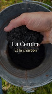 Ne jette plus tes cendres ! Voici comment utiliser simplement les cendres de ton poêle à bois ou de ta cheminée car le charbon et la cendre sont deux énormes cadeaux pour ton jardin ! Mais attention, on y va toujours avec modération pour les cendres car elles peuvent aussi avoir un effet néfaste sur ton sol. Je t’explique tout dans cette vidéo, le guide ultime pour ne plus jamais perdre ton or noir ! #potager #terrapreta #permaculture | Zenno.nature