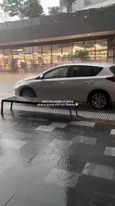 Wild Winds and Hail Lash Sydney During Severe Thunderstorm