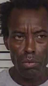 Break in case of Tasia Fortune found in tree suspect apprehended