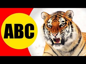ALPHABET ANIMALS for Children - Learn ABC with Animals for Kids, Preschoolers and Toddlers