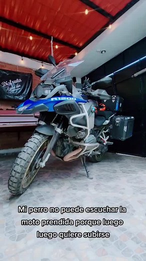 Martin Alonso Barragan Green on TikTok