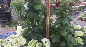 WATCH! Take a first look inside the new Avoca Dunboyne! Welcome to Co Meath! | Meath Chronicle