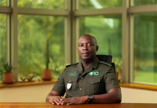 Forestry Commission records major gains in reforestation, anti-galamsey fight