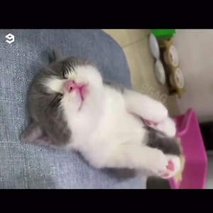 11 reactions | When you fall asleep during Yoga...tag a friend who...