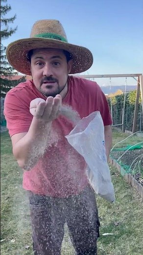 Steps to Successfully Growing Onions in the Vegetable Garden #gardening #vegetablegarden #vegetab...