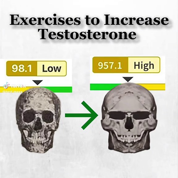 Exercises That Increase Testosterone Levels Effectively