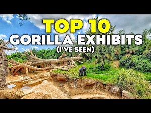 Top 10 Gorilla Exhibits (I've Seen)