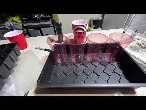 AC Infinity HUMIDITY DOME, PROPAGATION KIT WITH HEIGHT EXTENSION, 5X8 CELL TRAY