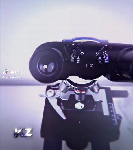 Exploring the Monster Under the Microscope