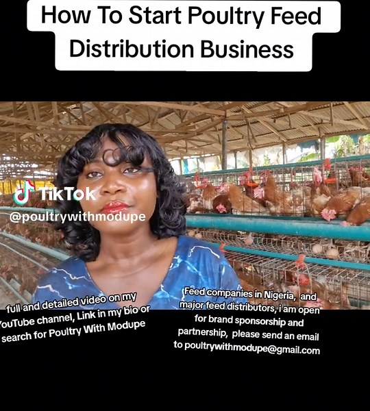 Poultry Feed Distribution Business in Nigeria