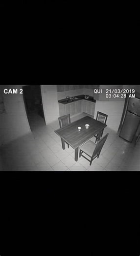 @Night Cam Creatures @Night Cam Creatures @Night Cam Creatures #nightvision #paranormal #horrorstory #cctv #nightcamcreatures creatures real cryptids caught on cam funny creatures Scary moments Top paranormal videos to watch Real scary stories Mythical Creatures cryptid footage mysterioUs creature sightings werewolf cryptid gatos