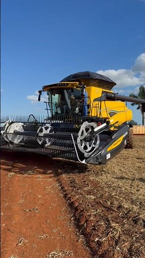 Real vs Virtual Wheat Harvesting 🌾🚜 | FS17 x Real Farming | #shorts #virtualfarm