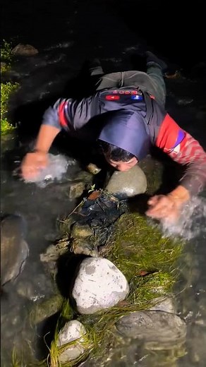 Giant Carp Caught in England! You Won’t Believe This Catch