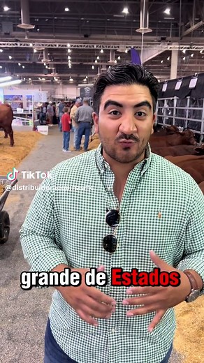 Houston Livestock Show and Rodeo 2026 Highlights