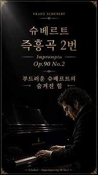 슈베르트 즉흥곡 Op.90 No.2 | 부드러운 슈베르트의 숨겨진 힘