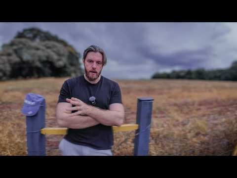 Cheating Codes to Win in Life