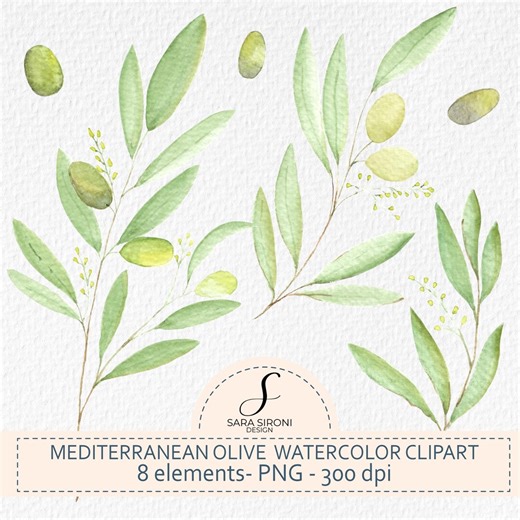 Watercolor Olive Branch Collection, Greenery Clipart Set, Olive Tree Leaves Instant Download - Etsy