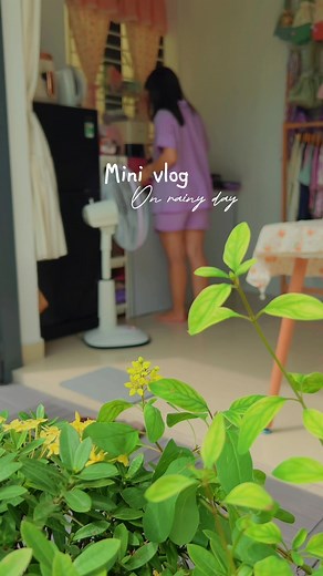Ngoài trời mưa rơi tí tách, lửa bếp trong nhà vẫn ấm 🌧️ #minivlog #cooking #onrainydays #nauancungtiktok #chillwithtiktok #slowvideo #fypシ #mybalconyview #homerice #peaceful #mygarden #dailylife