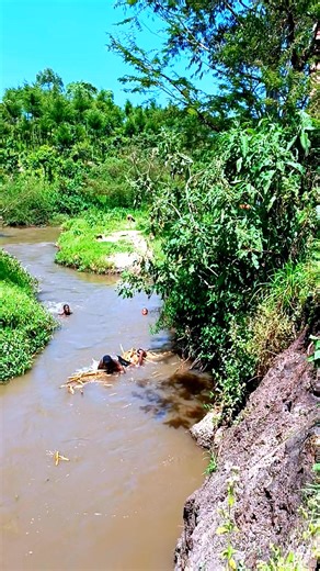 944 reactions · 5 comments |  | Crit Comedian | Facebook