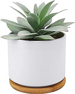 Hopewood Succulent Plants Artificial - Faux Agave Succulent Plant in Ceramic Pots with Bamboo Tray for Office Desk Living Room Decor(5.9inch)