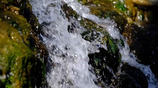Waterfall, Nature, River. Free Stock Video