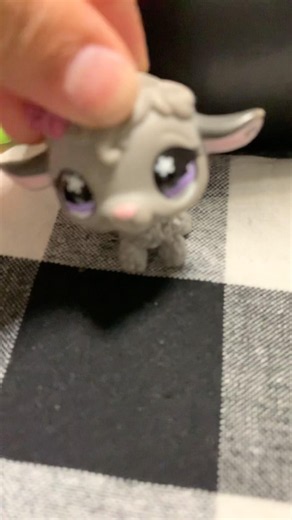 First video! #lps #collection #collector #toys