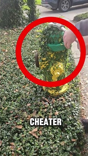 The Man Who Wakes Up Fire Hydrants