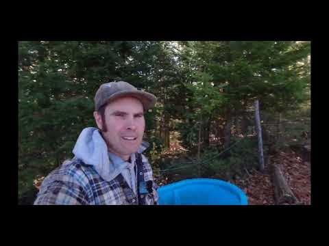 My water source for my ram pump #rampump #selfsufficienc