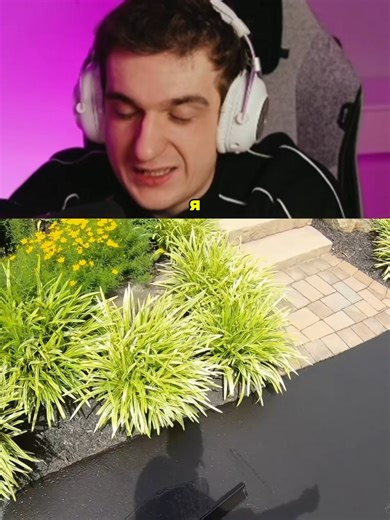 Exploring the World of Evelone: Twitch Streamer