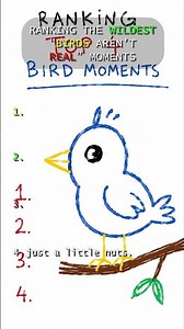 Ranking the Wildest Birds That Prove Birds Aren’t Real 😂 #birdvideos #birds #birdingparadise
