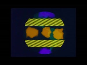 Weather Patterns: Winter Storms & Climate Change Documentary