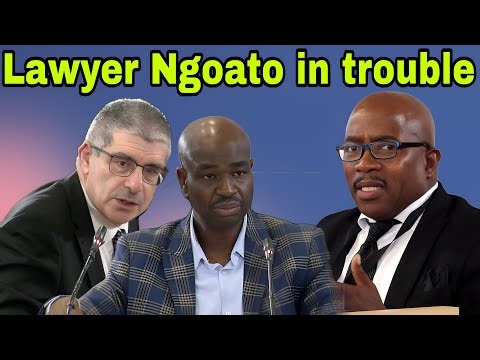 Nkosi's Lawyer Ngoato might be in trouble. Messages with Umashi Dhlamini exposed.