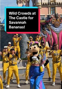 Savannah Bananas Take Over Disneyland Castle