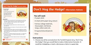 Don't Hog the Hedge! Hibernation Craft Instructions