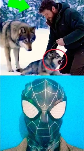 Act of Kindness Man Saved Wolf 🥺 #shorts #allah #perfect