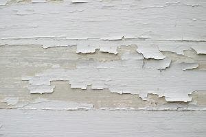 Effects of Lead Poisoning in Children & Adults