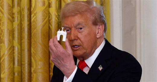 Giant Cost of President’s Monstrous ‘Arc de Trump’ Revealed