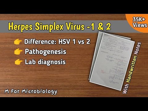 Herpes Simplex Virus - 1&2 | HSV-1&2 | Difference | Pathogenesis | Lab diagnosis