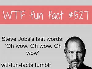 steve jobs last words