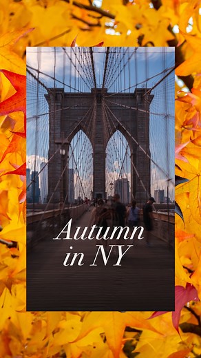 53K views · 118 reactions | Crisp air, falling leaves, and NYC in motion.  Access free Adobe Stock media inside Premiere Elements 2026 to add some autumn charm to your edits. | Adobe Photoshop Elements & Premiere Elements | Facebook