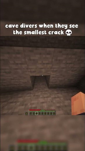 MINECRAFT CAVE DIVER MOMENT