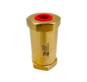 [Hot Item] Dh-15t Copper Alloy Non Return Valve NPT2/1 Thread DN15