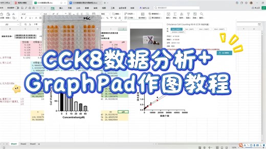 手把手教你CCK-8数据分析 GraphPad作图