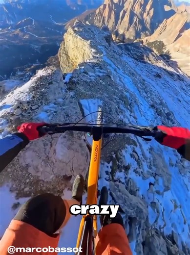 Riders Quickest Reflexes #shorts