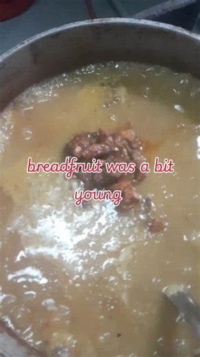 Harvesting Young Breadfruit: Tips from Farmer Randy