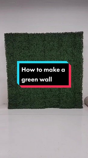 DIY Guide: Creating Your Own Stunning Green Wall