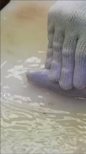 Fugu Preparation: Expert Chef Slices This Deadly Delicacy