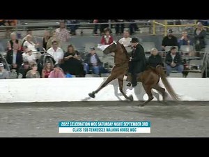 2022 TWHNC World Grand Championship