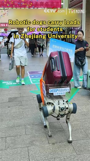79K views · 320 reactions | First day of school? Don't worry! China's Zhejiang University is deploying robotic dogs to assist students during move-in week. Watch them effortlessly climb stairs with ease and carry loads of up to 20 kg! #Trending #ChinaInnovates | CCTV | Facebook
